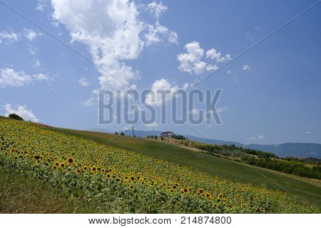 Landscape Near Ascoli Piceno At Summer