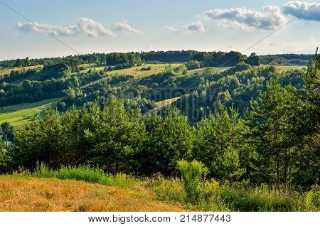 Natural green summer landscape. Beautiful Jurassic valley in Poland.