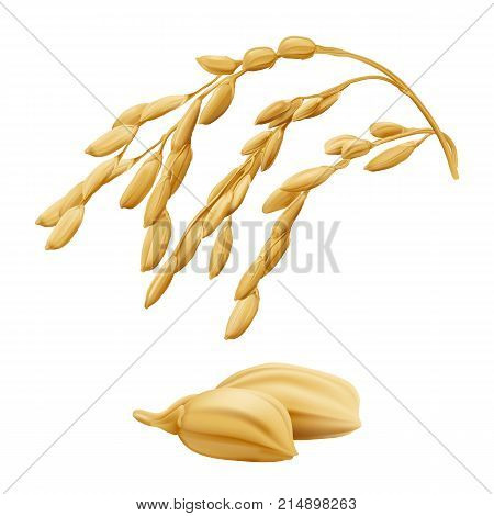 Rice2