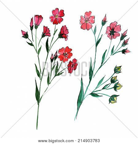 Wildflower flax flower in a watercolor style isolated. Full name of the plant: flax. Aquarelle wild flower for background, texture, wrapper pattern, frame or border.