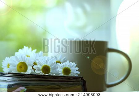 Mug daisies Notepad glasses. The concept of a Sunny summer morning.