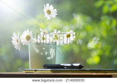 Mug daisies graphics tablet. The concept of am designer. A Sunny summer morning.