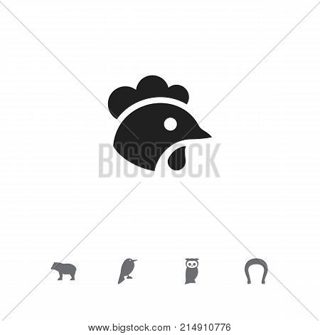 Set Of 5 Editable Zoology Icons. Includes Symbols Such As Philomel, Panda, Talisman