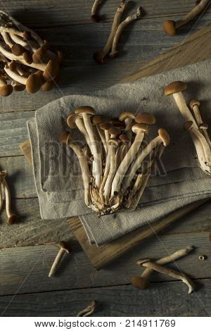 Raw Brown Pioppini Mushrooms