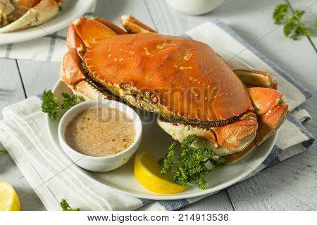 Fresh Caught Dungeness Crab