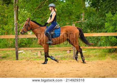 Jockey Girl Doing Horse Riding On Countryside Meadow