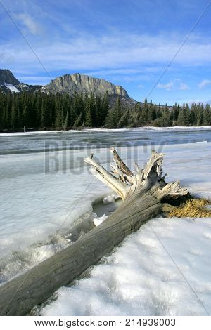 Mount Yamnuska and the Bow River in winter