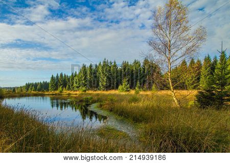 Torfmoor- Autumn swamp scenery with lake .