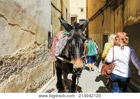 Pepole On The Street Of Rabat City In Morocco
