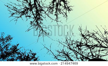 Vector grass and tree landscape silhouette. Realistic tree folliage silhouettes in night and evening sky. Outdoor nature scene, view from bottom.