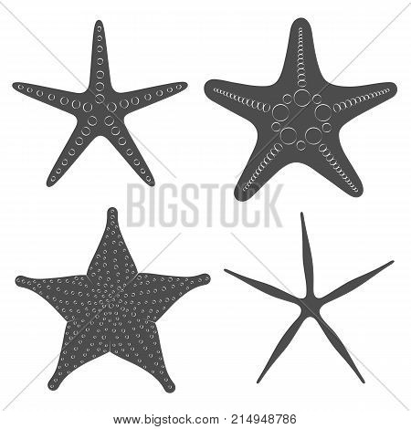 Set of graphic black and white images of sea stars. Isolated vector objects on white background.