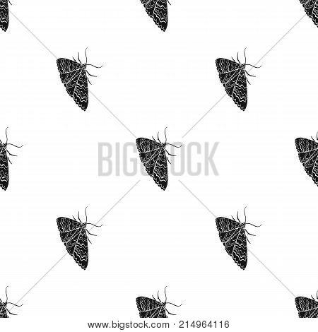Moth, night butterfly. Insect pest moth single icon in black style vector symbol stock isometric illustration .