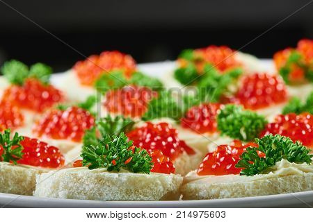 Close up cropped shot of delicious canapes with red caviar and greens served at the local restaurant copyspace food eating delicious gourmet traditional appetizer delicacy.