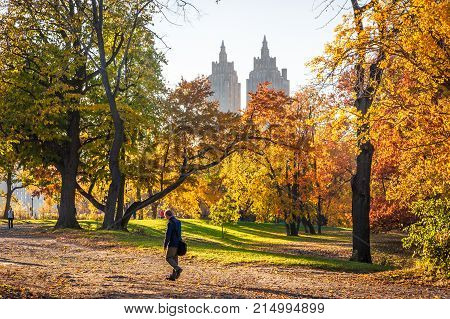 New York City, USA - Nov 9, 2011: Man walking in Central Park in autumn on a sunny day.