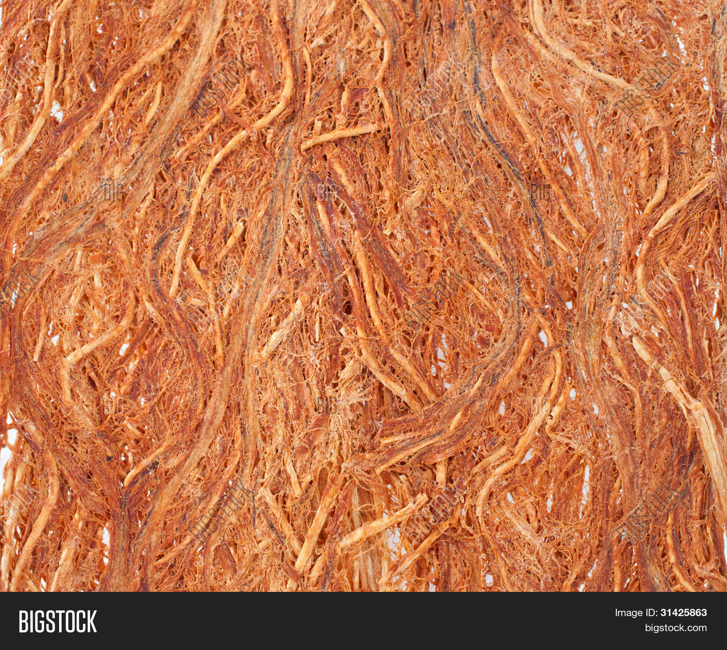 Gugo Bark Texture Image & Photo (Free Trial) Bigstock