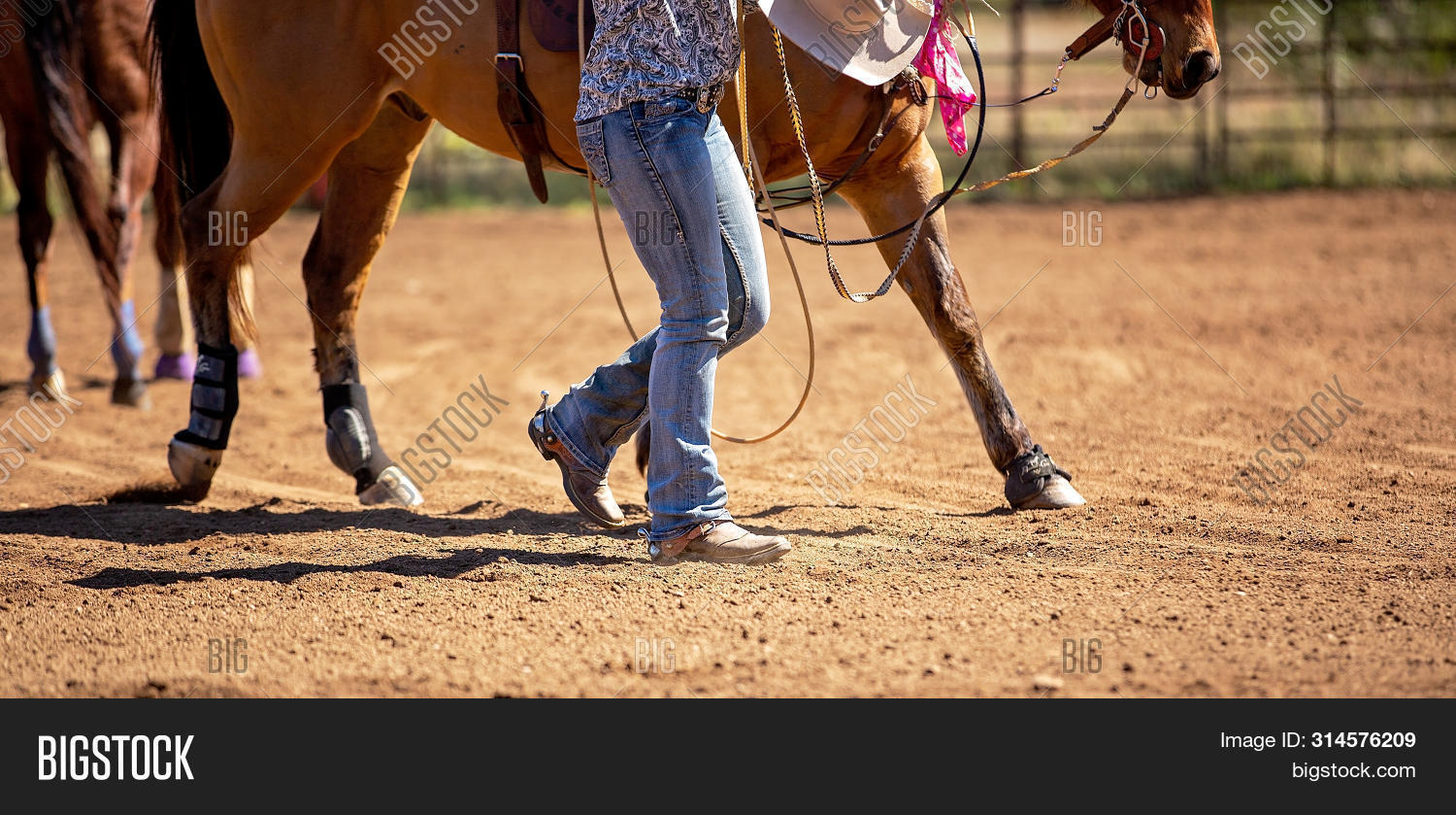 врач на лошади вектор. подросток на лошади. человек который водит лошадь. папа лошадь мама лошадь вектор. лошадь едет на лошади.