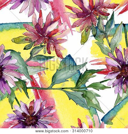 Aster Floral Botanical Flowers. Watercolor Background Illustration Set. Seamless Background Pattern.