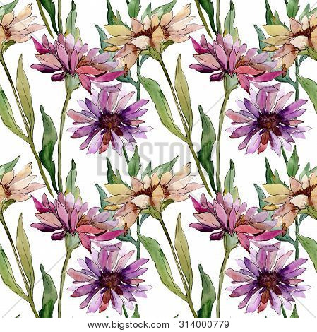 Aster Floral Botanical Flowers. Watercolor Background Illustration Set. Seamless Background Pattern.