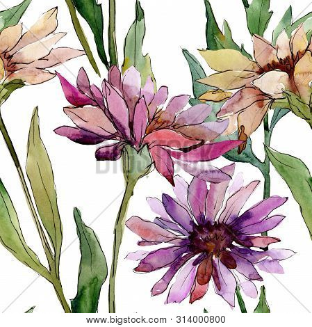 Aster Floral Botanical Flowers. Watercolor Background Illustration Set. Seamless Background Pattern.