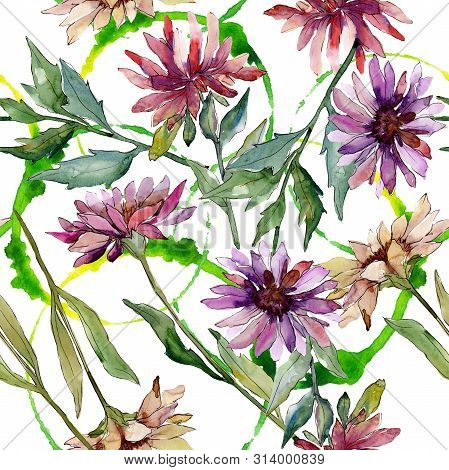 Aster Floral Botanical Flowers. Watercolor Background Illustration Set. Seamless Background Pattern.