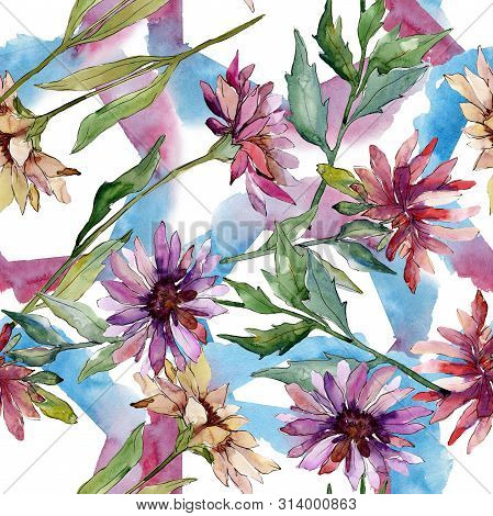 Aster Floral Botanical Flowers. Watercolor Background Illustration Set. Seamless Background Pattern.