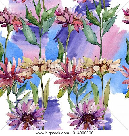 Aster Floral Botanical Flowers. Watercolor Background Illustration Set. Seamless Background Pattern.