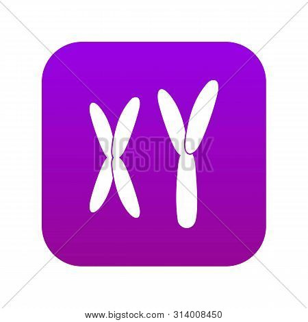 Human Chromosomes Icon Digital Purple For Any Design Isolated On White Vector Illustration