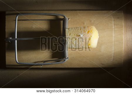 A Piece Of Cheese In A Mousetrap On A Black Background