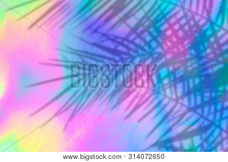 Trendy Colored Holographic Background With Palm Leaves Shadows In 90s Style. Synthwave. Vaporwave St