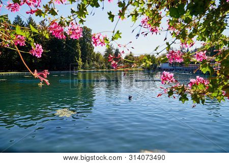 Heviz, Hungary - September 27, 2018: Balneological Therapeutic Lake Heviz In Hungary With Warm Water