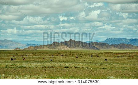 Mountain Plateau In The Area Zavkhan River