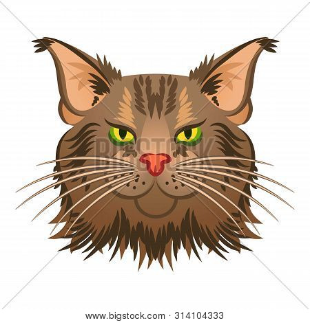 Head Maine Coon Icon. Cartoon Of Head Maine Coon Vector Icon For Web Design Isolated On White Backgr