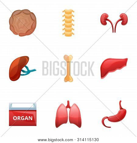 Human Organ Transplant Icon Set. Cartoon Set Of 9 Human Organ Transplant Vector Icons For Web Design