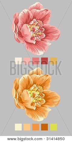 mano disegnata fiore 004