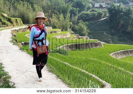 Sapa, Vietnam - May 2019: Woman From Hmong Ethnic Group In Traditional Dress Walking Next To The Ric