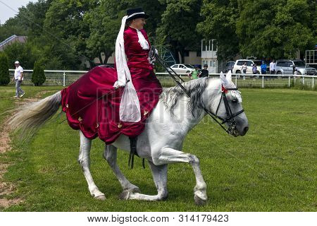 Pyatigorsk,russia - July 28,2019:dressage - Beautiful Grey Oryol Trotter Horse And Woman.