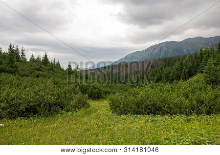 Hala Gasienicowa ( Valey Gasienicowa). Tatra Mountains In Zakopane, Poland.