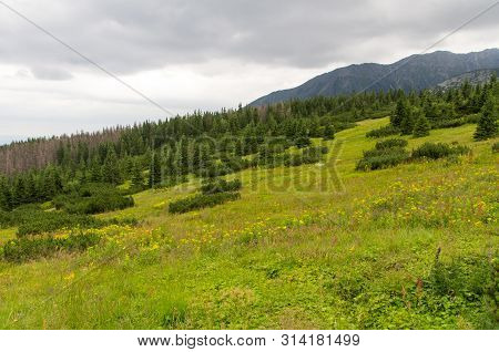Hala Gasienicowa ( Valey Gasienicowa) In Tatra Mountains In Zakopane, Poland.