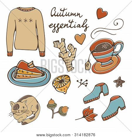 Autumn Essentials Stylsh Colorful Collection. Autumn Related Design Elements Set