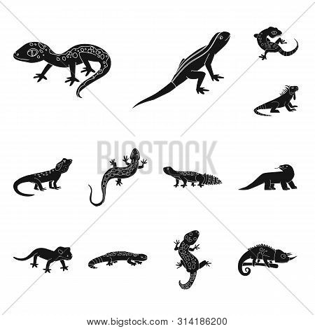 Vector Illustration Of Zoo And Environment Logo. Collection Of Zoo And Reptile Vector Icon For Stock
