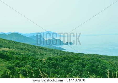 A Green Prairie In Front Of The Sea