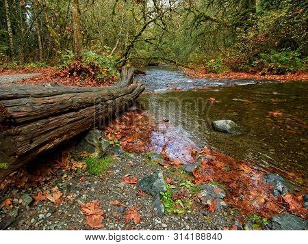 Salmon Run