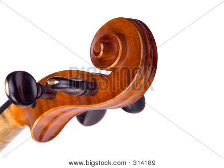 หัว Violine