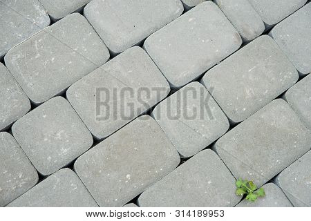 Paving Stones. Concept Of Laying Paving Slabs And Pavers. Paving Stones. Concrete Pavement Blocks