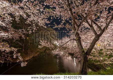 Night View Of  Full Bloom Cherry Blossoms At Ueda Castle In Nagano Prefecture Of Japan.