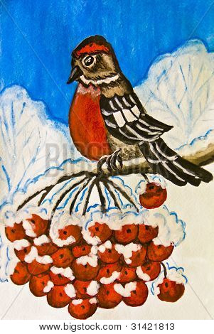 Bullfinch na větvi stromu Jeřabina, malování