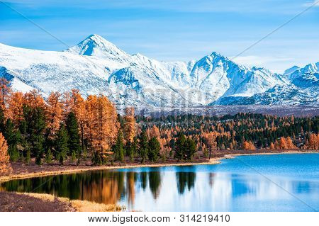 Mountains With Autumn Forest On Kidelu Lake In Altai Mountains, Siberia, Russia. Beautiful Autumn La