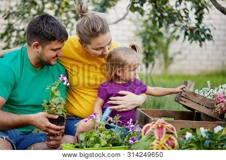 Happy Family Gardening Together And Taking Care Of Nature. Plant Sprouts And Fertilize The Ground. M