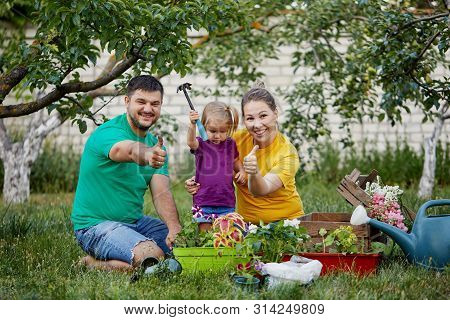Happy Family Gardening Together And Taking Care Of Nature. Plant Sprouts And Fertilize The Ground. M