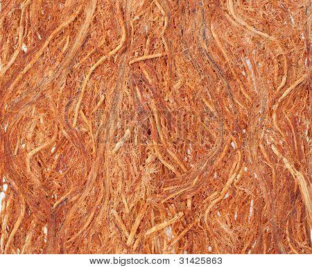 Gugo bark texture